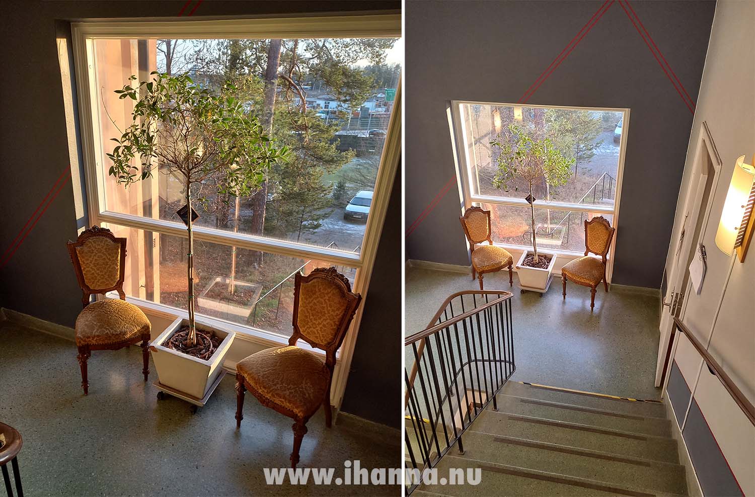Pair of chairs in the stair case