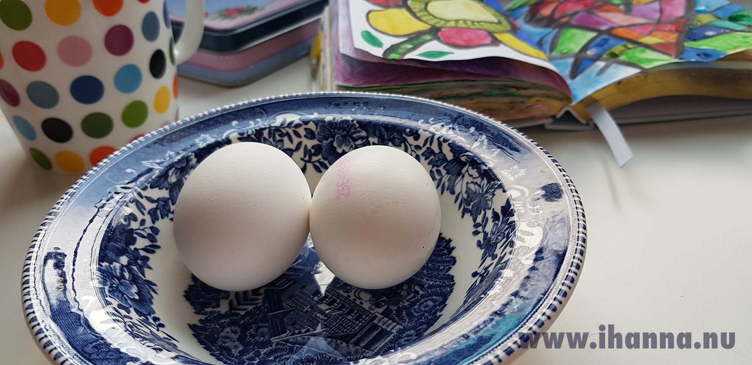 A pair of eggs on a plate for lunch (Copyright Hanna Andersson)
