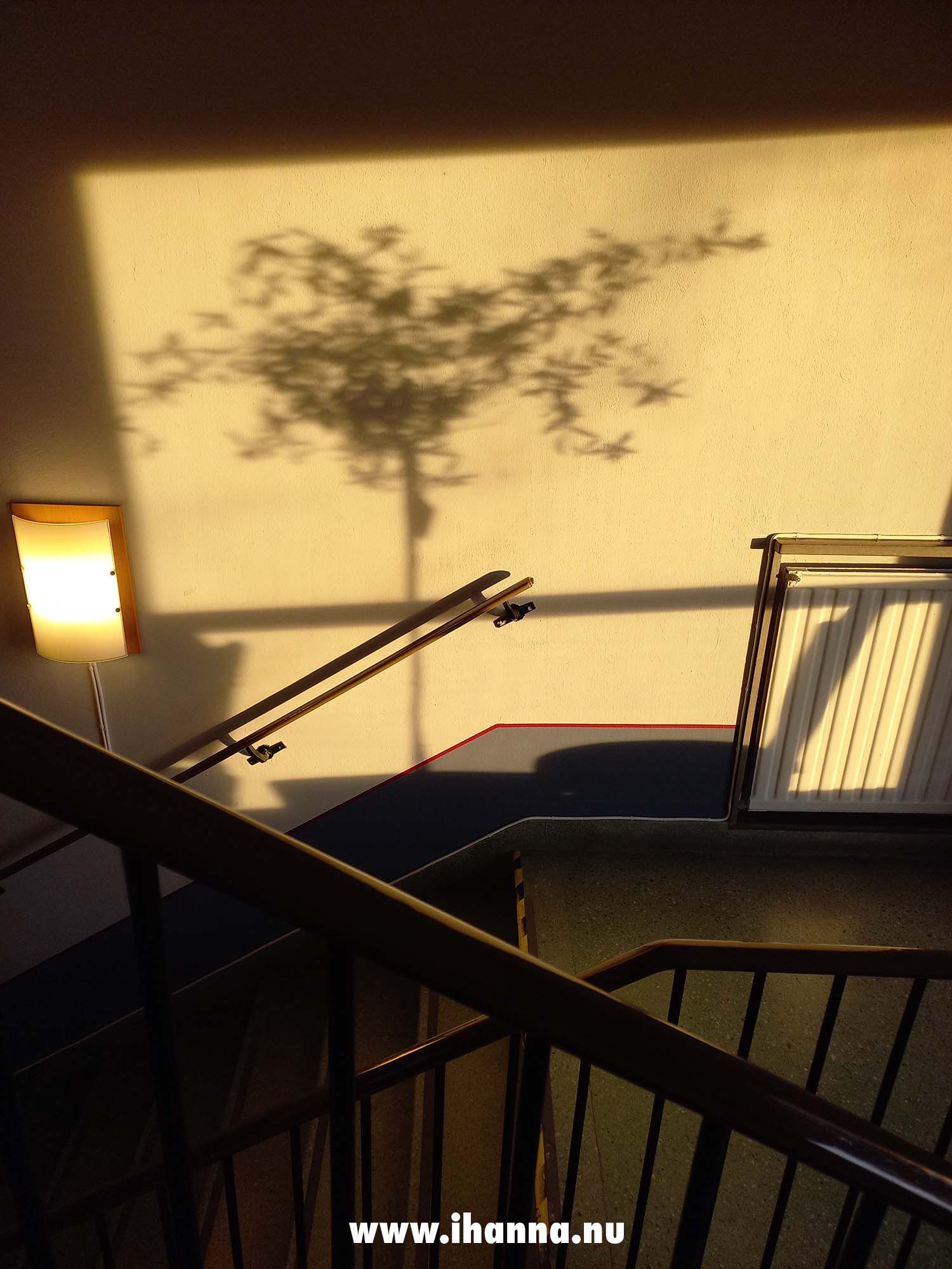 The shadow of this stair case indoor tree is lovely (photo copyright Hanna Andersson)