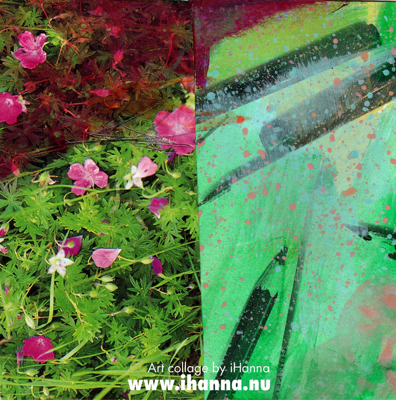 Week 3 of 365 collages by iHanna in 2025. No. 20: Magenta matters, a Handmade square art collage made in 2025 by iHanna (Copyright Hanna Andersson)