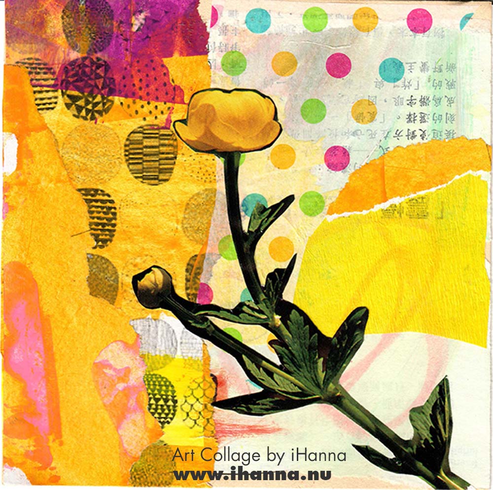 Square collage by iHanna with colorful patterned paper background and flowers for week 8 of the 365 collages 2025 (Copyright Hanna Andersson)