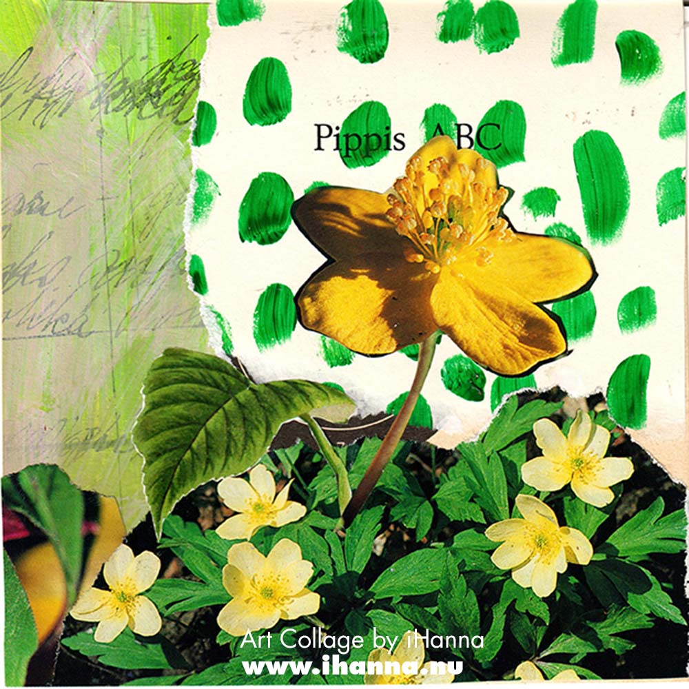 Square collage by iHanna with colorful patterned paper background and flowers for week 8 of the 365 collages 2025 (Copyright Hanna Andersson)