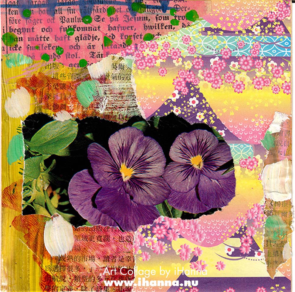 Square collage by iHanna with colorful patterned paper background and violet pansies for week 8 of the 365 collages 2025 (Copyright Hanna Andersson)