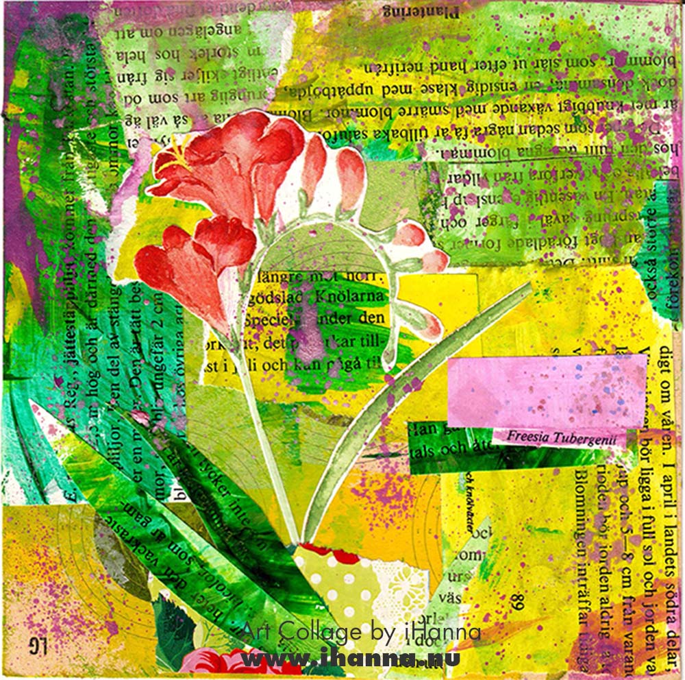 Square collage by iHanna with colorful patterned paper background and Freesia Tubergenii for week 8 of the 365 collages 2025 (Copyright Hanna Andersson)