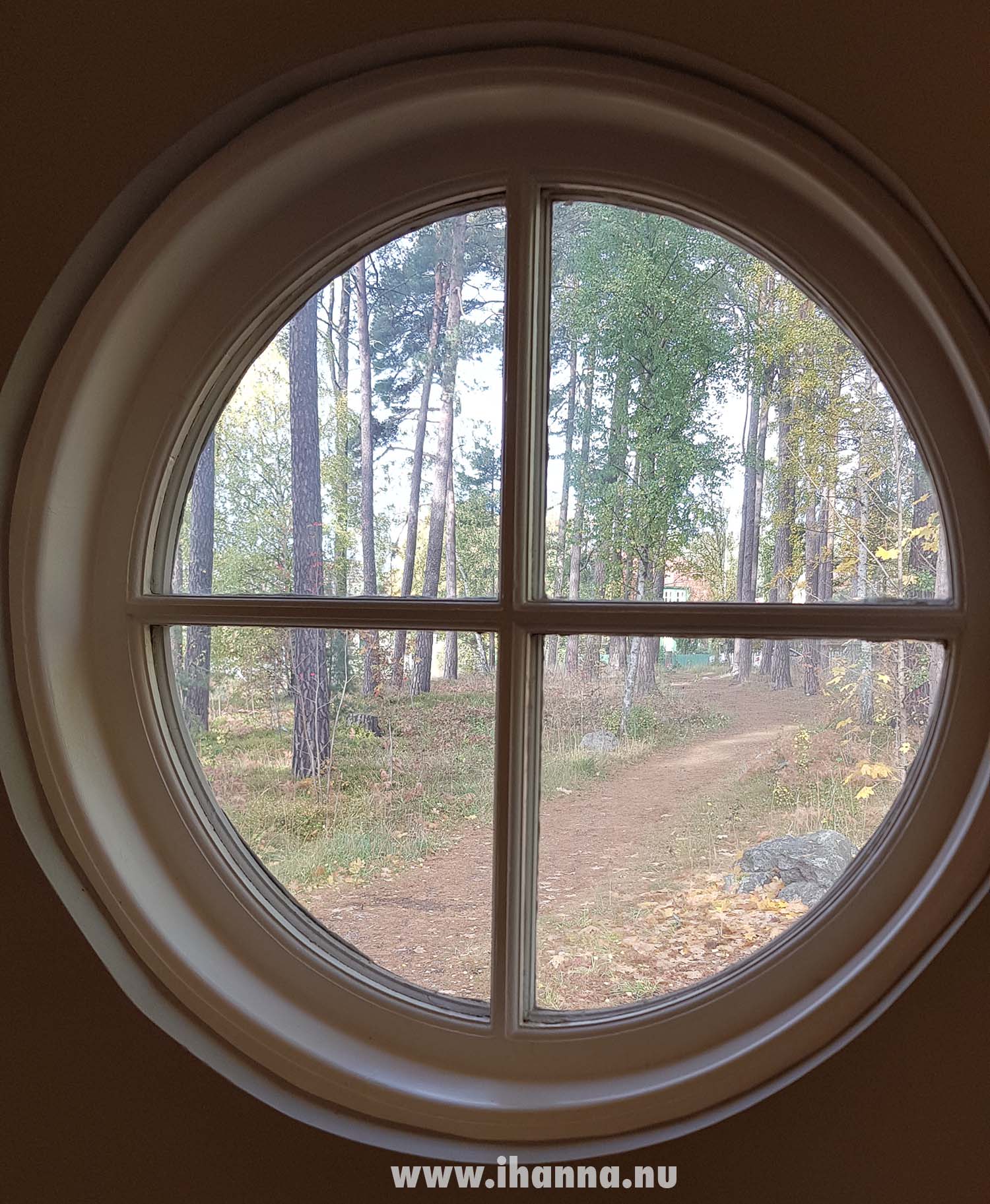 A round window at school looking out at the forest (Photo copyright H. Andersson)