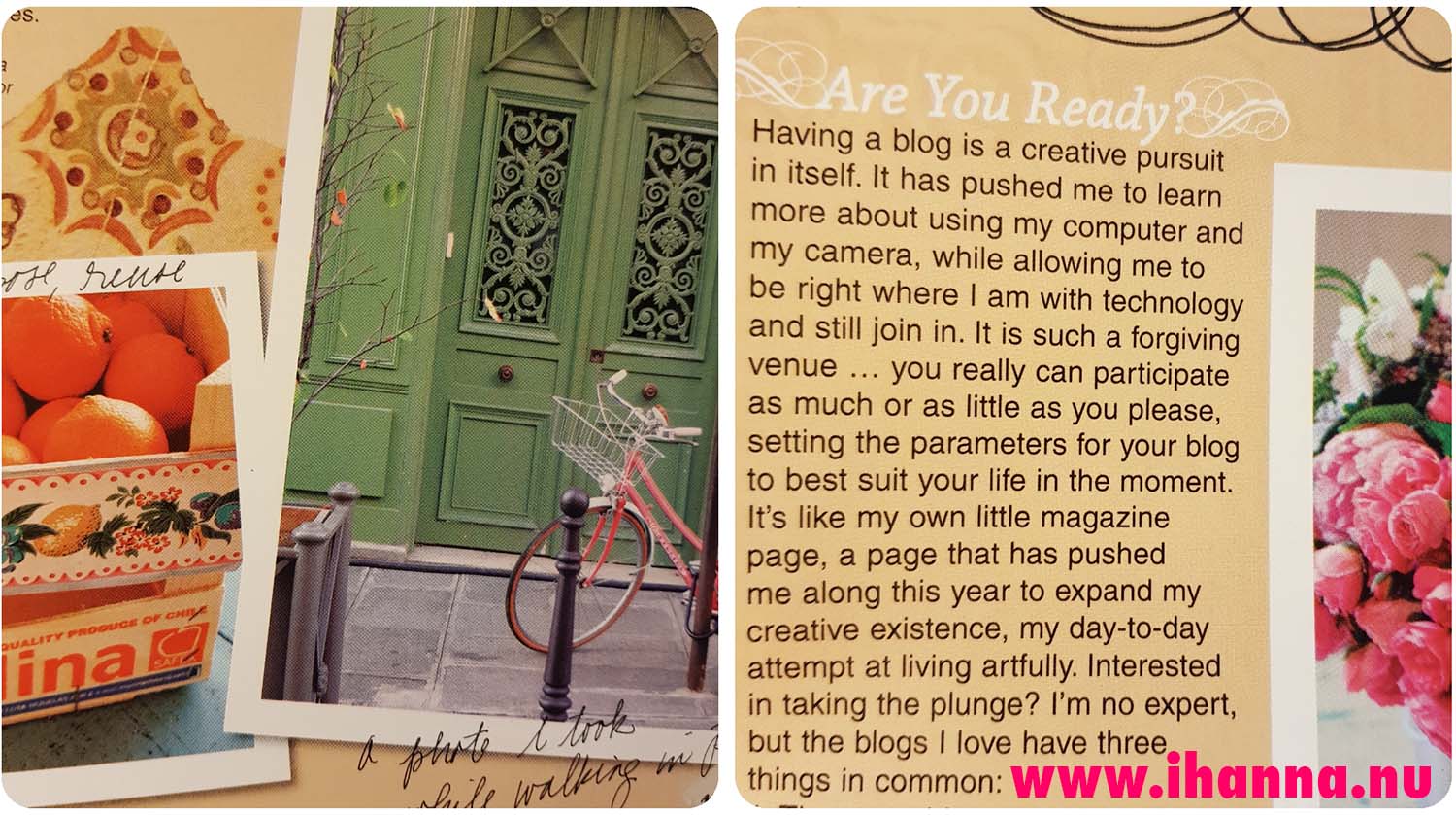 Images and blogging article about artist Pam Garrison