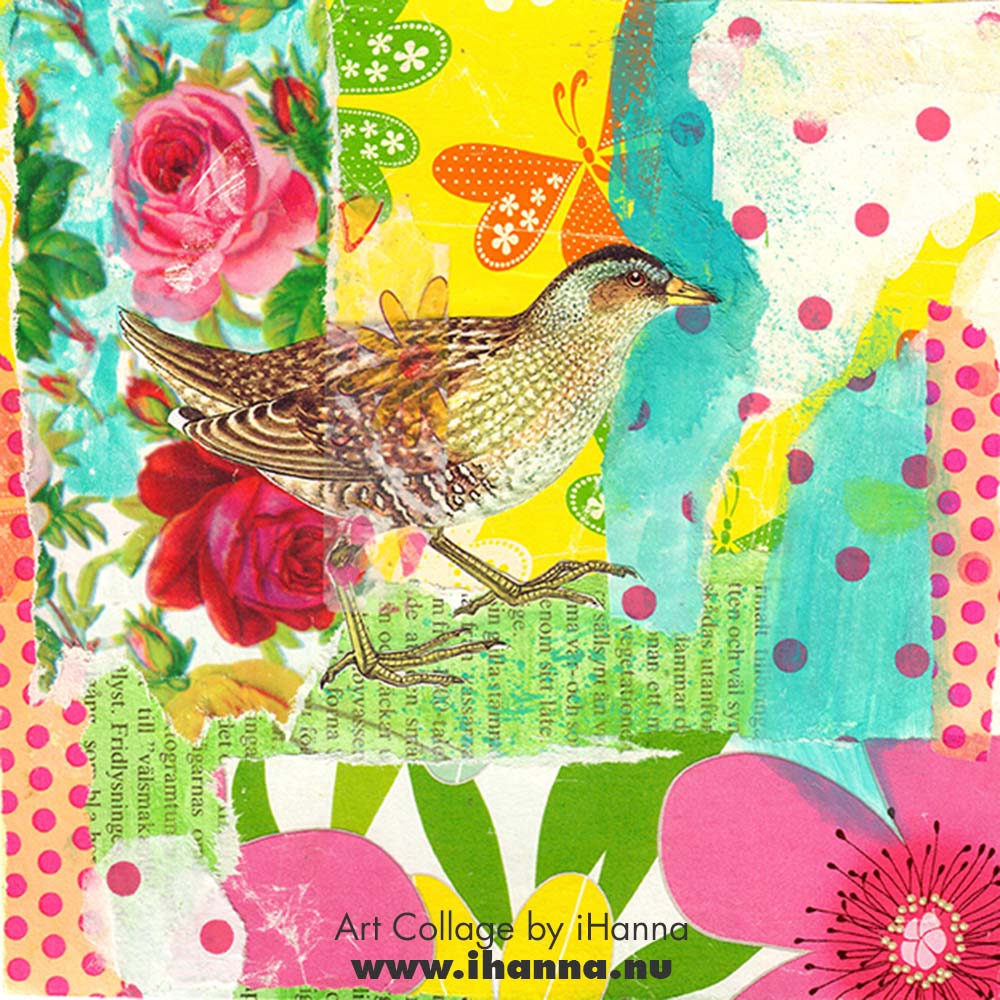 Square collage nr 71 made by iHanna in the series 365 collages 2025 week 11 (Copyright H. Andersson)