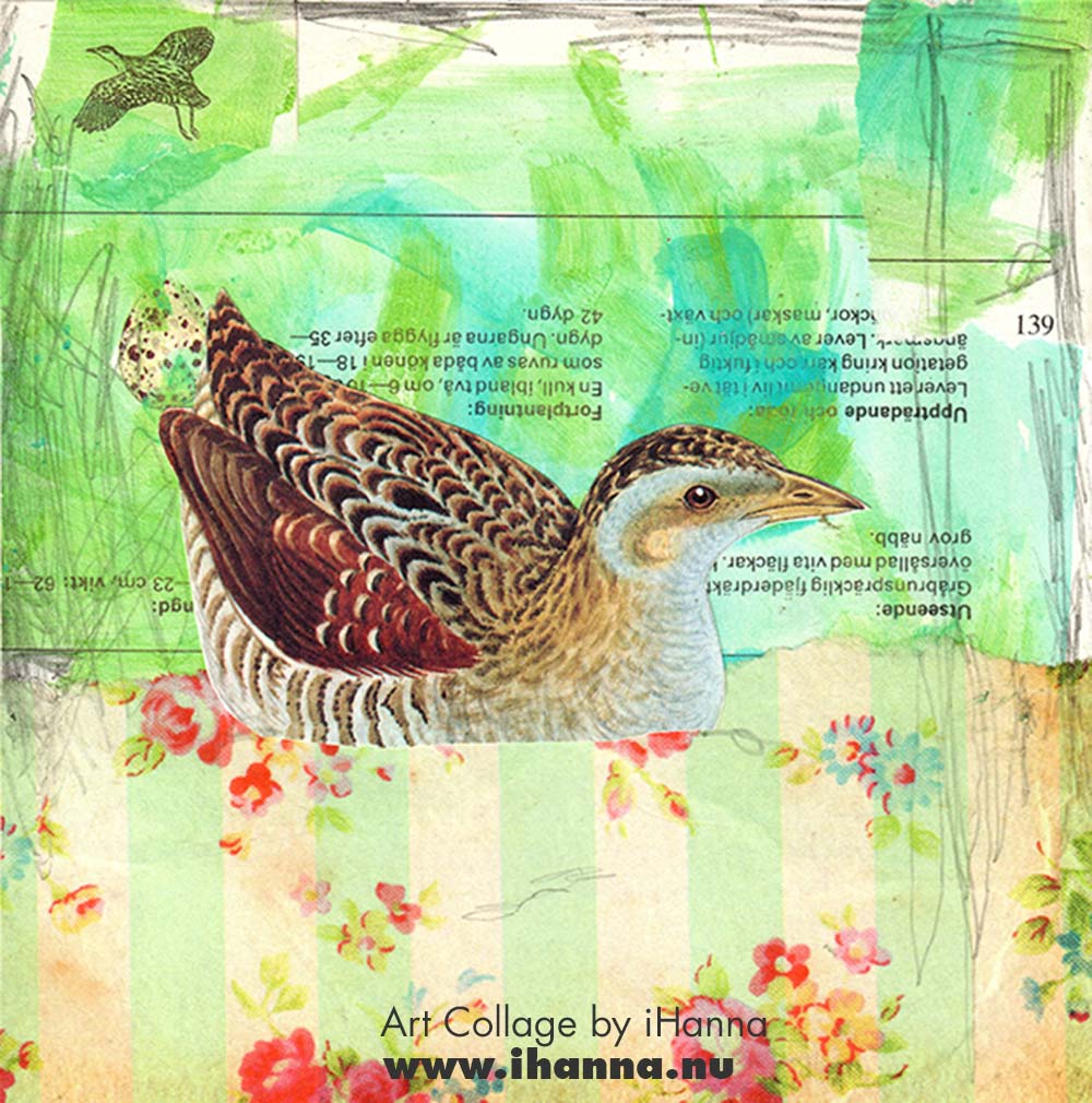 Square collage nr 73 It is going swimmingly made by iHanna in the series 365 collages 2025 week 11 (Copyright H. Andersson)