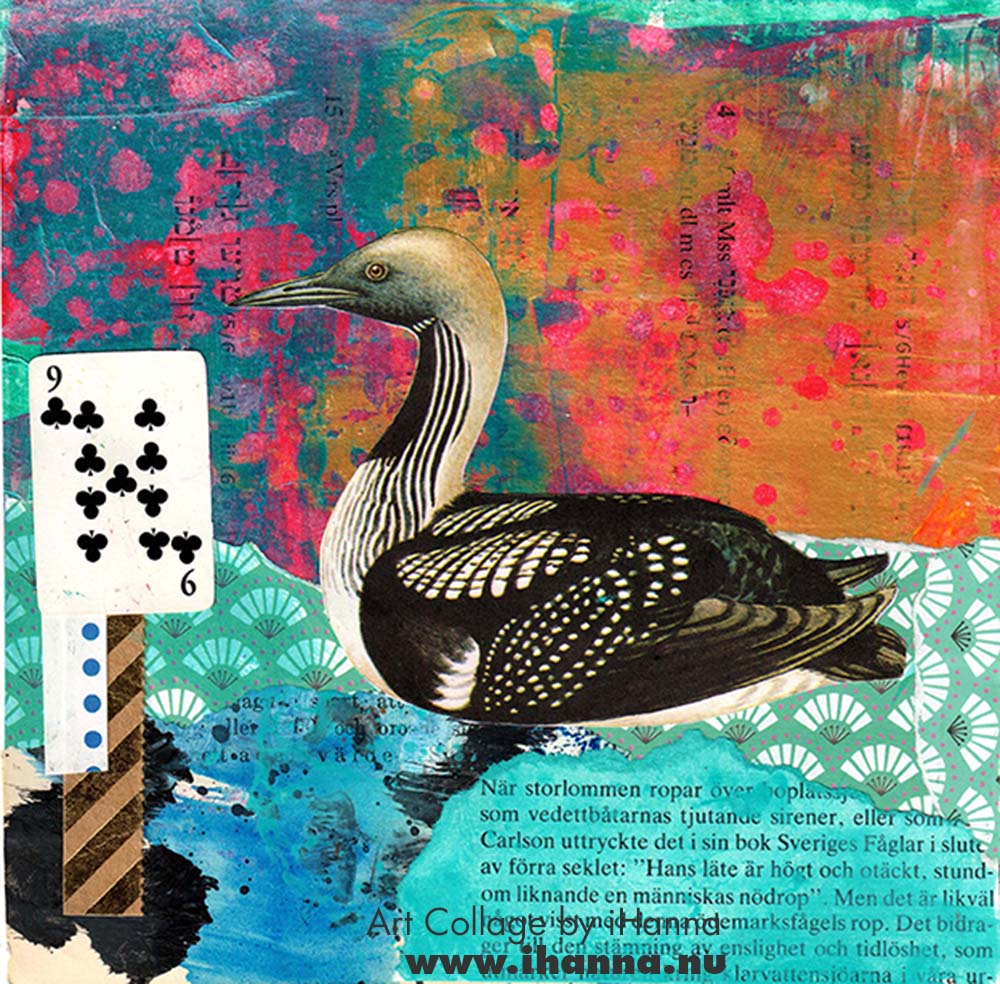 Square collage nr 75 Just a big loon created by iHanna in the series 365 collages 2025 week 11 (Copyright H. Andersson)