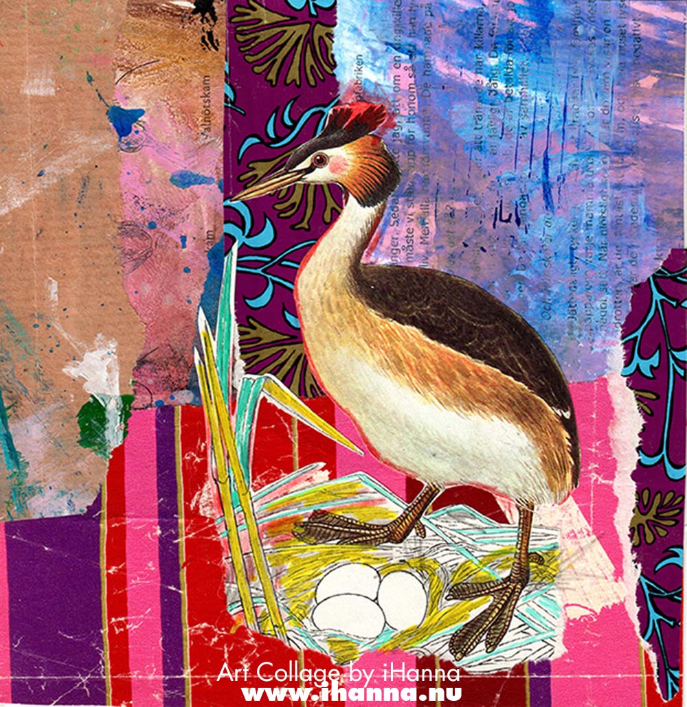 Square collage nr 76 Dragon diver created by iHanna in the series 365 collages 2025 week 11 (Copyright H. Andersson)