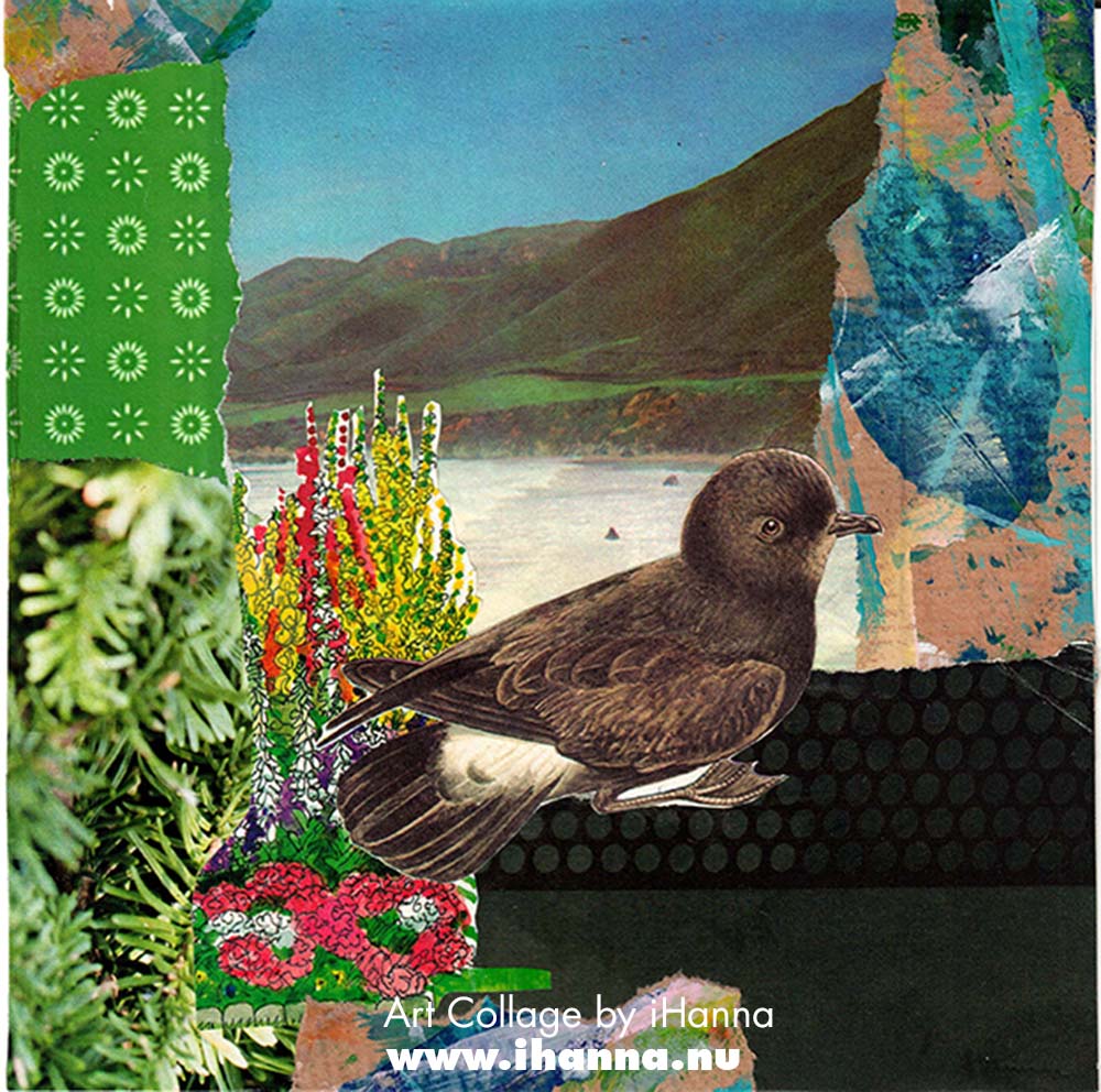 Square art collage with book page illustrations and patterned paper titled Colours of the Darkness feat (tornsvala) by iHanna for her series 365 collages in 2025 (Copyright H. Andersson)