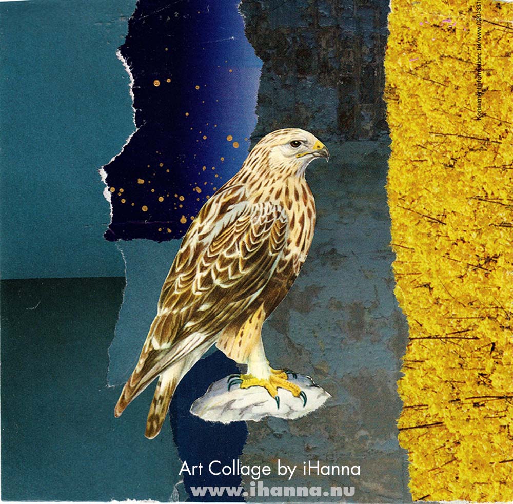Art collage for America 2025 by iHanna in the 365 series (Copyright H. Andersson)