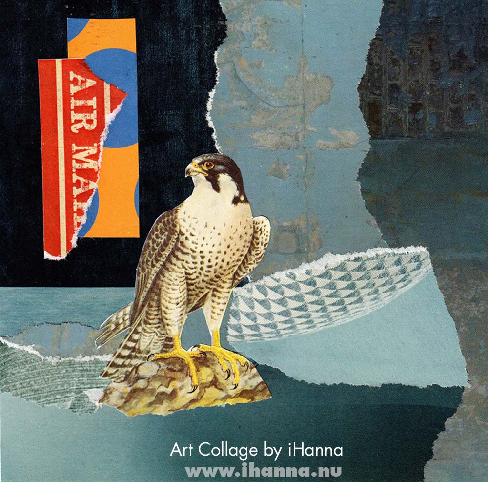 Art collage for America 2025 by iHanna in the 365 series (Copyright H. Andersson)