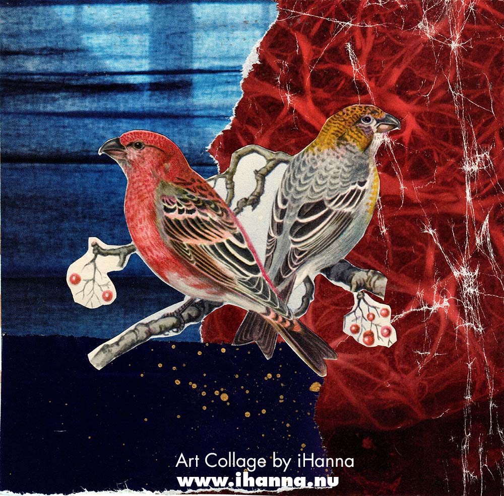 Plead for America to do better collage series by iHanna (Copyright H. Andersson) in the series 365 collages in 2025 week 15