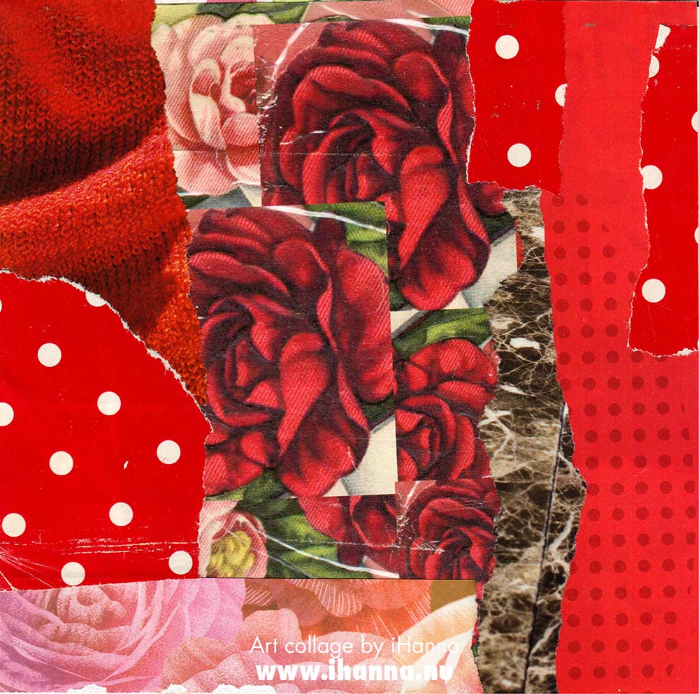 Red rose Square art collage by iHanna in the series 365 collages in 2025 (Copyright H. Andersson)