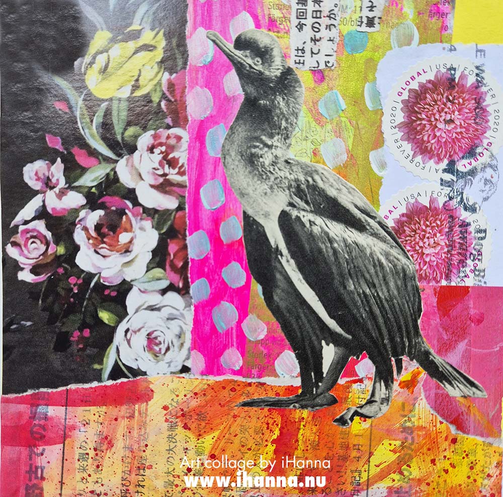Bird in square art collage number 172 Feeling rather Cocky, by iHanna in the Series 365 collages 2025 (Copyright H. Andersson)