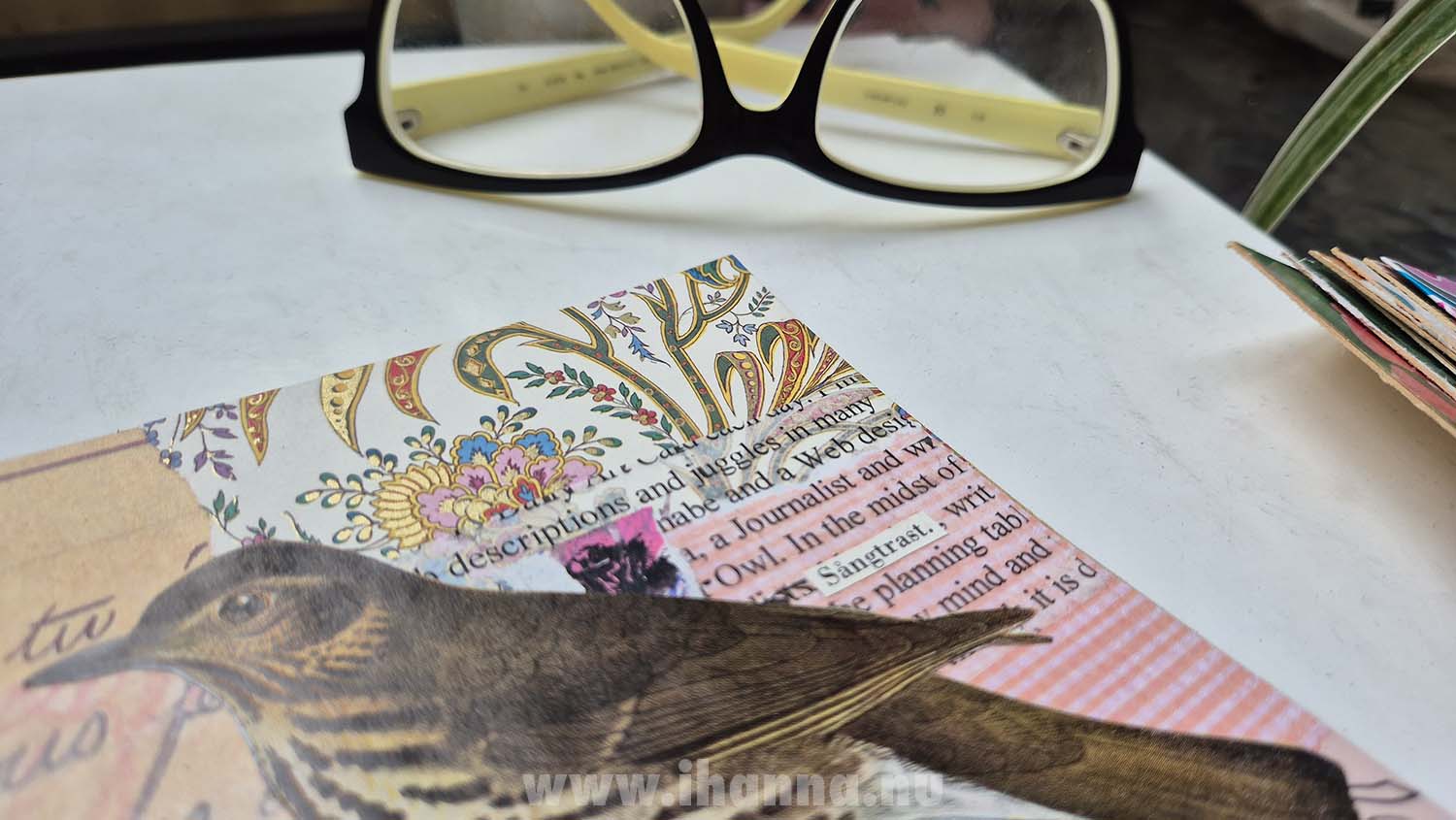 Glasses, bird collage and cold drinks served on the balcony summer 2025 (Photo copyright H. Andersson)