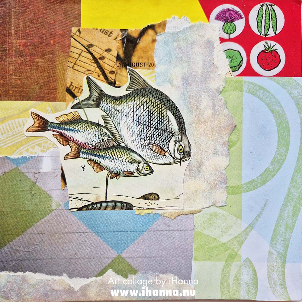 Square art collage number 203. August Catch made week 29 of 2025, by iHanna (Copyright H. Andersson)