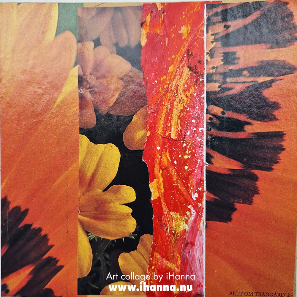 Garden patchwork collage number 207 Before Autumn Arrives by iHanna (Copyright Hanna Andersson) #365somethings2025