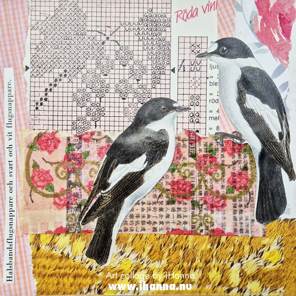 Collage number 221. Red Currants and birds, in the series 365 collages in 2025 by iHanna (Copyright H. Andersson)