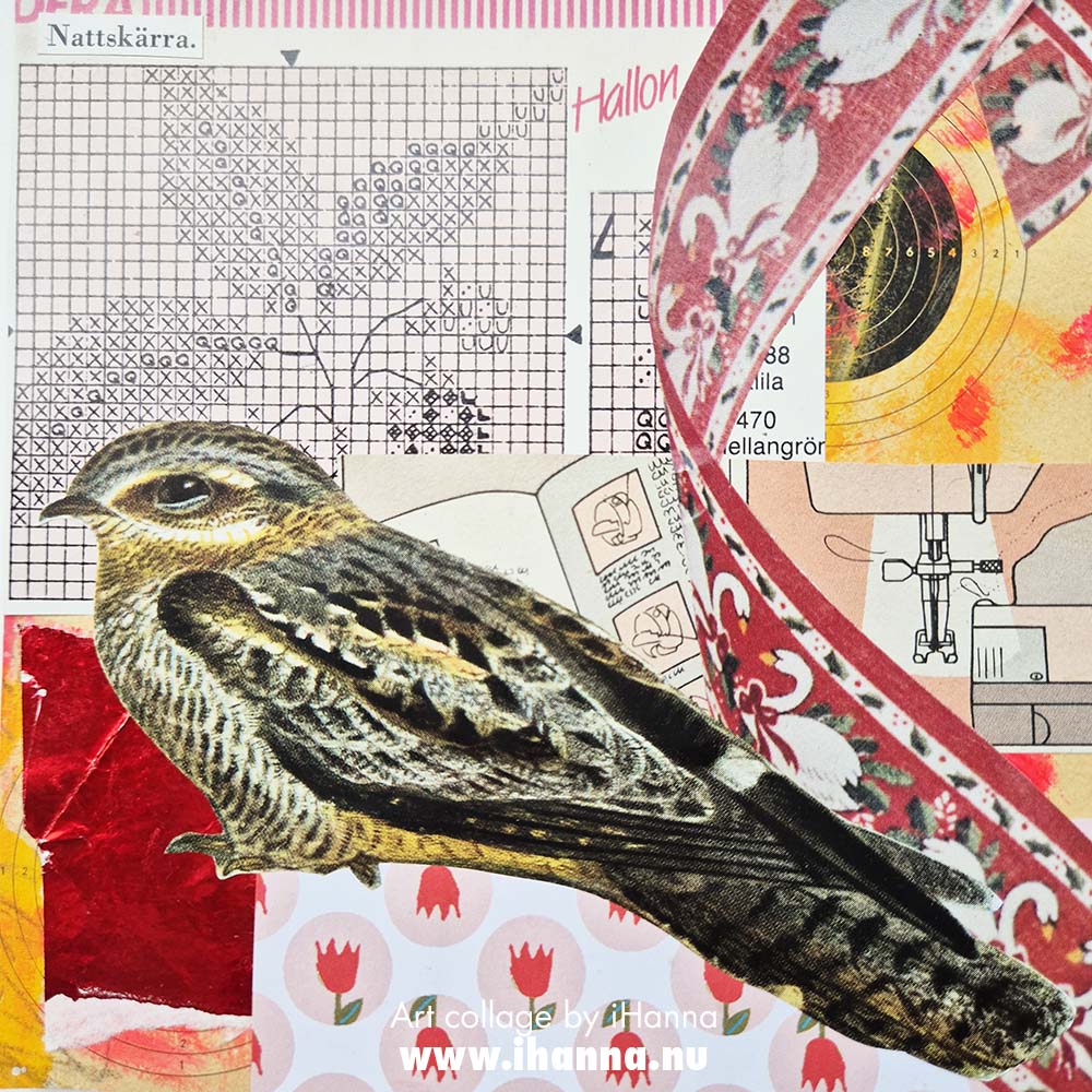 Collage number 222 222. Rascal wanting Rasberries and a bird in the series 365 collages in 2025 by iHanna (Copyright H. Andersson)