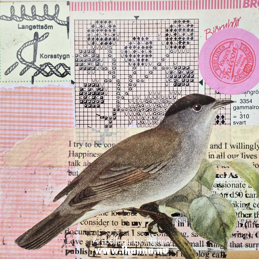 Collage number 223 Blackberry Cravings and another bird the series 365 collages in 2025 by iHanna (Copyright H. Andersson)