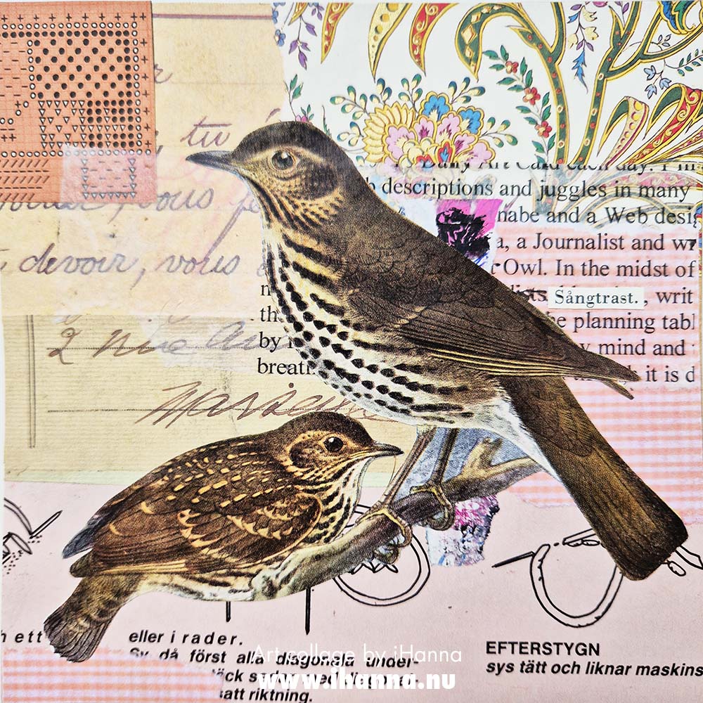 Collage number 225 Turdidae tra-la-la in the series 365 collages in 2025 by iHanna - more bird collages (Copyright H. Andersson)