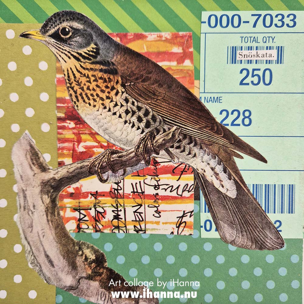 Square art collage by iHanna 2025 titled Waiting for Snow (Copyright H. Andersson)