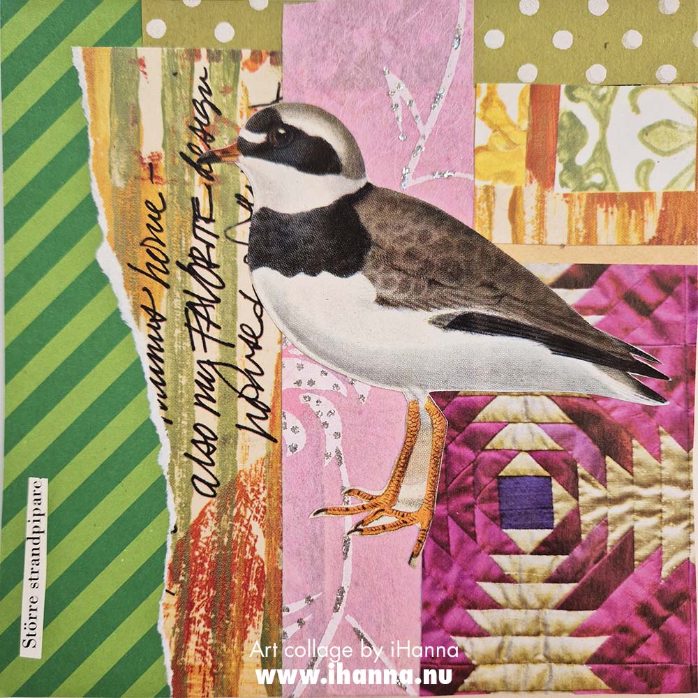 Square art collage by iHanna 2025 titled Be the Bigger Bird (Copyright H. Andersson)