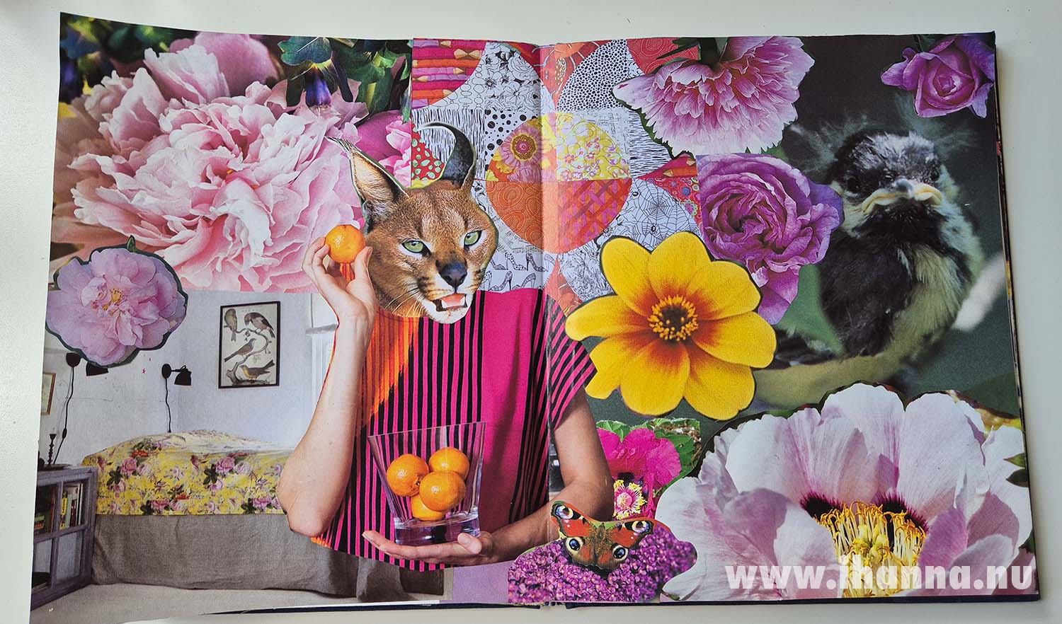 Glue Book with me Citrus Cat Lady (Photo Copyright Hanna Andersson)