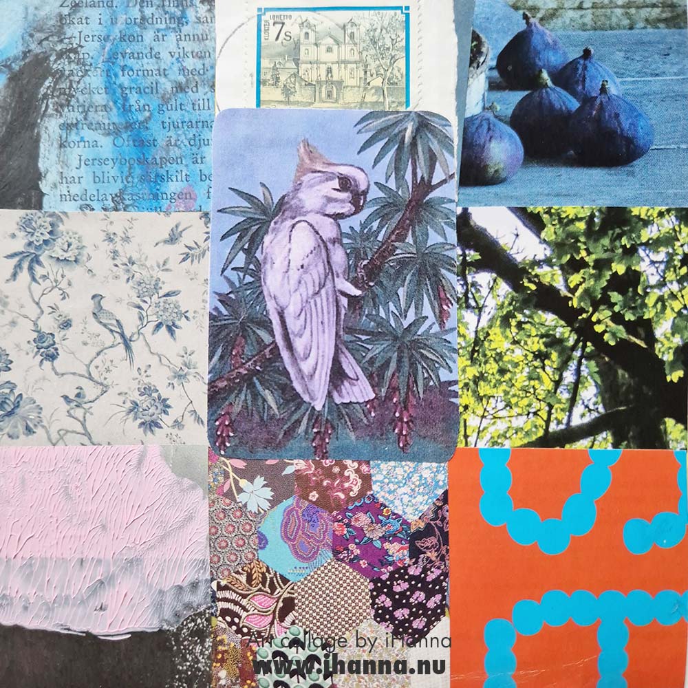 Endless Grids for week 45 of 365 collages in 2025 by iHanna - title Getting out of here parrot climbing out of the grid (Photo Copyright Hanna Andersson)